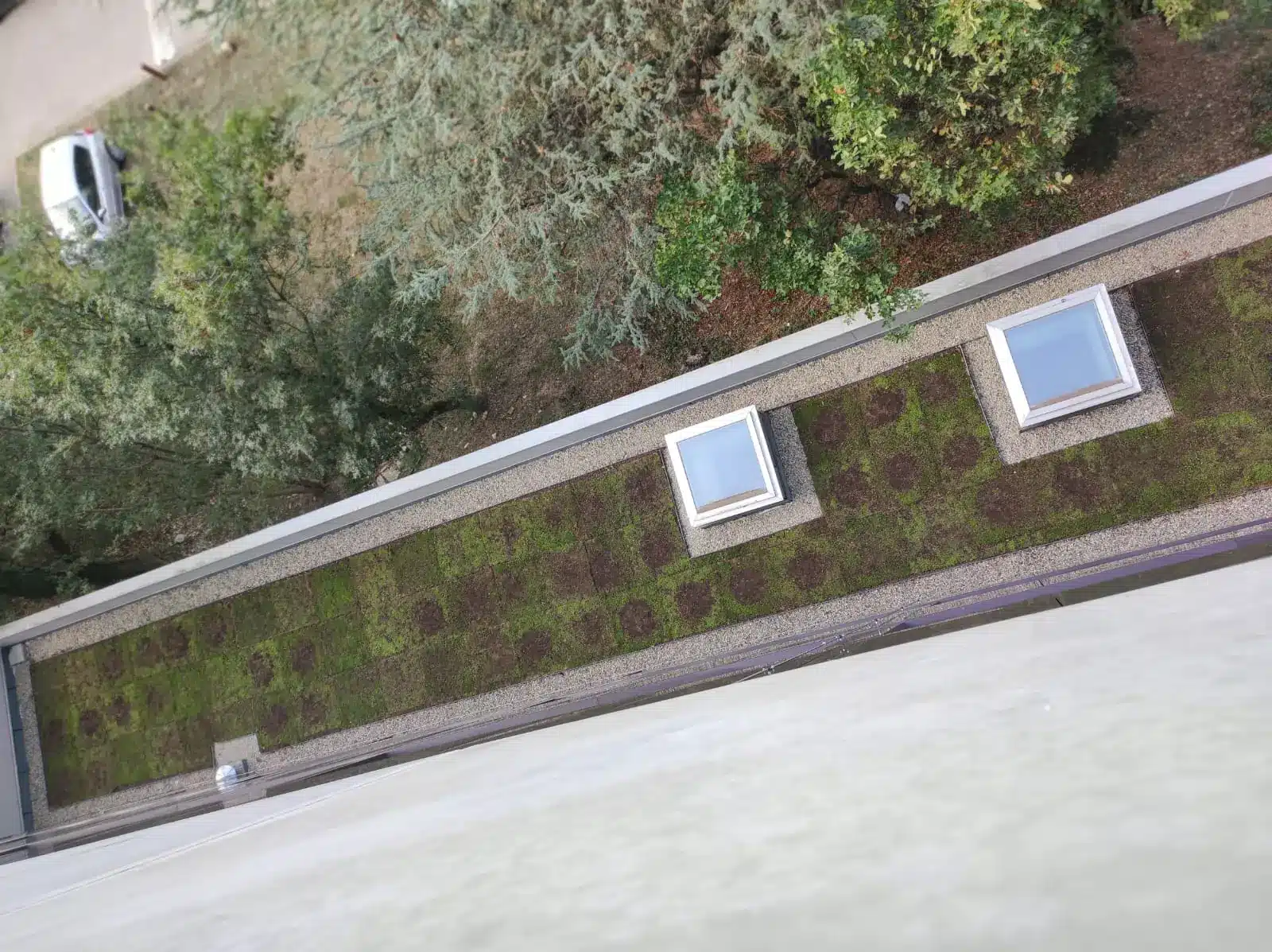 Vue sur toiture végétalisée de l'Ecole Centrale de Lyon