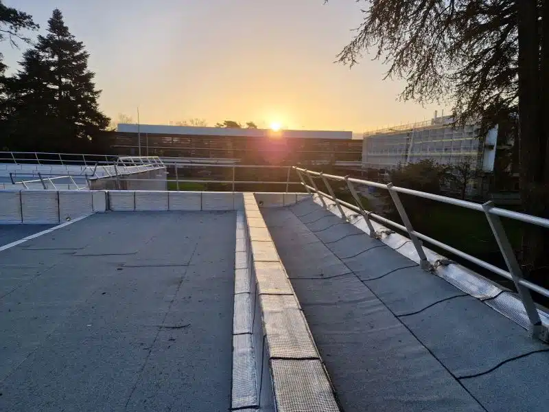 Photo au coucher du soleil du toit SNPS à Ecully après notre internvention